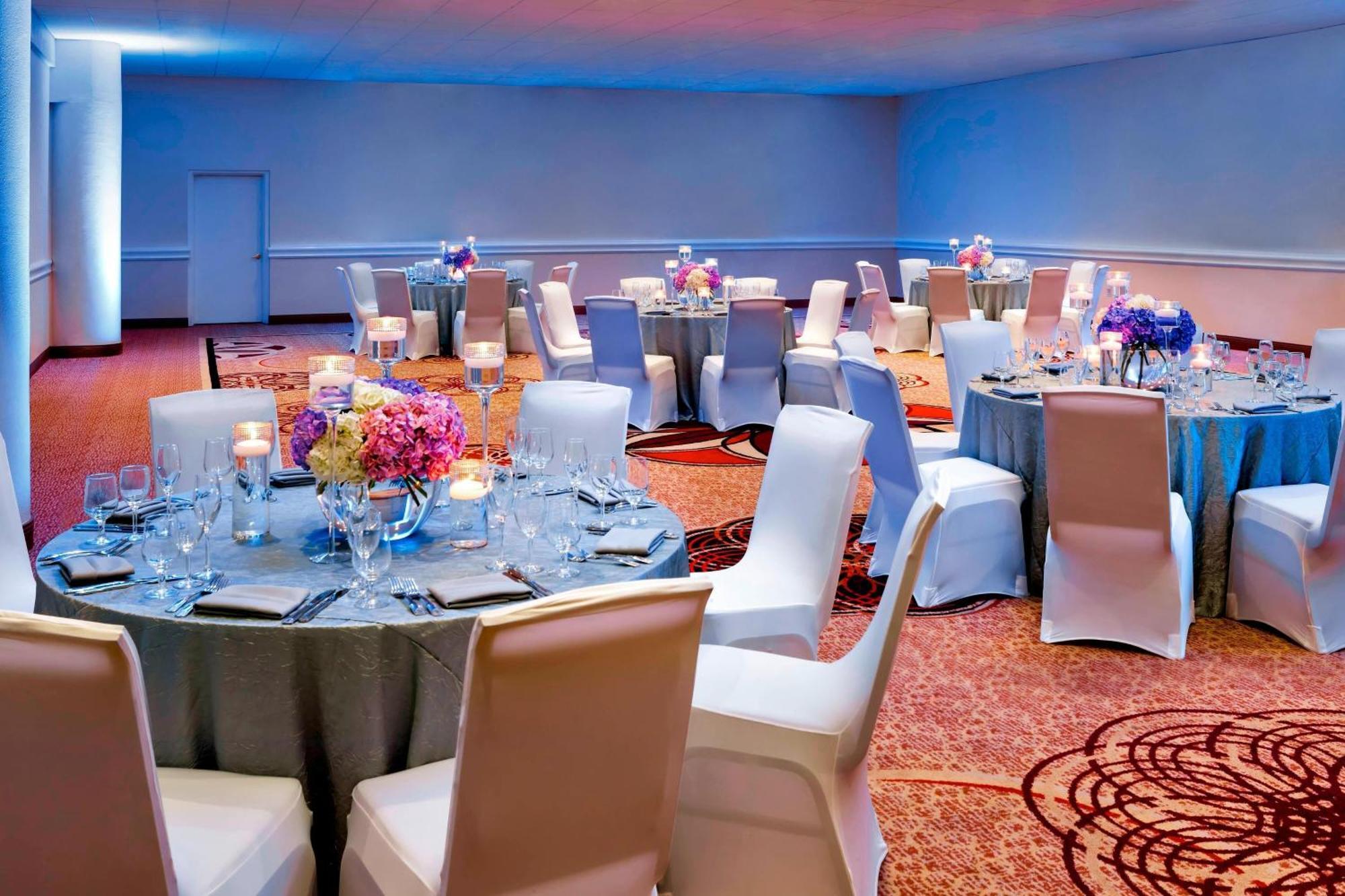 Sheraton Tampa Brandon Hotel Buitenkant foto