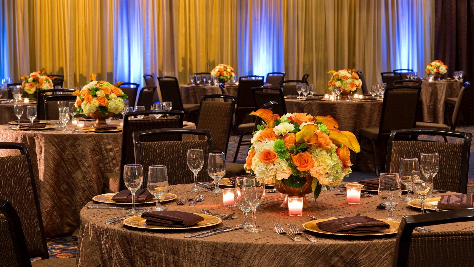 Sheraton Tampa Brandon Hotel Zakenleven foto